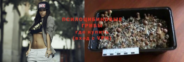круглые Белокуриха